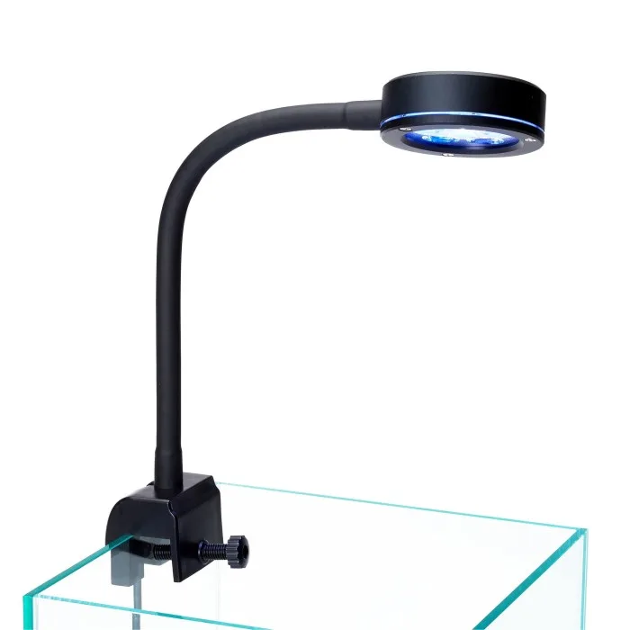 q2 Đèn led Q2 dành cho người mới chơi cá biển