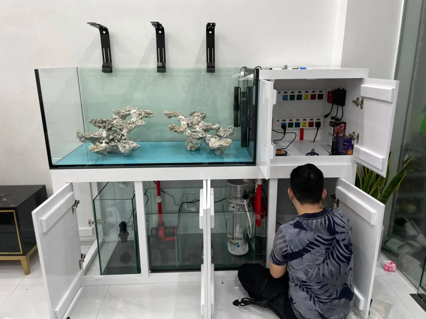 Thiết kế bể chơi san hô cá biển cho khách hàng ở Phương Mai - HN - hình 6