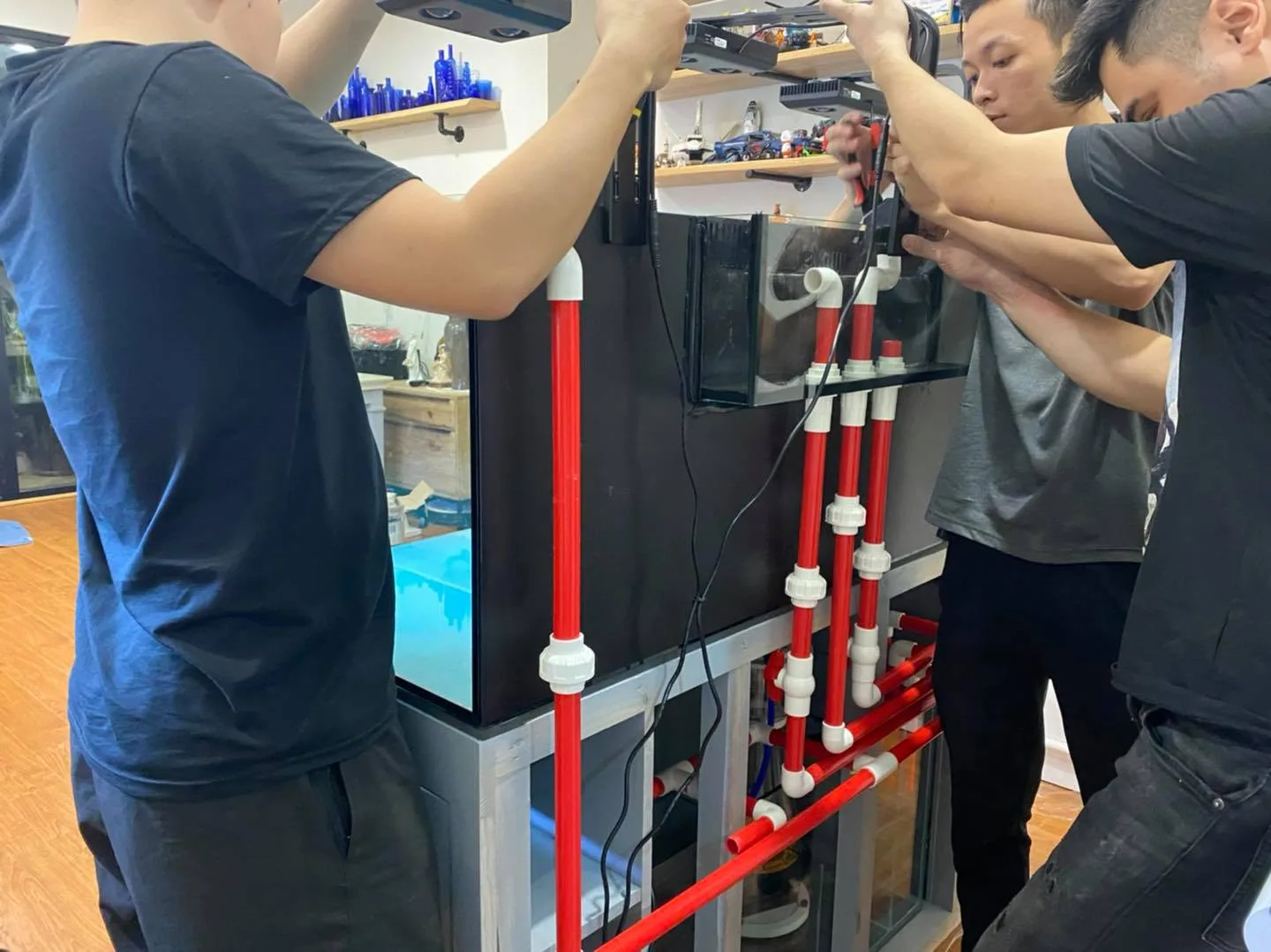 Setup bể cá biển 120x60x50 cho khách hàng Time City - hình 3