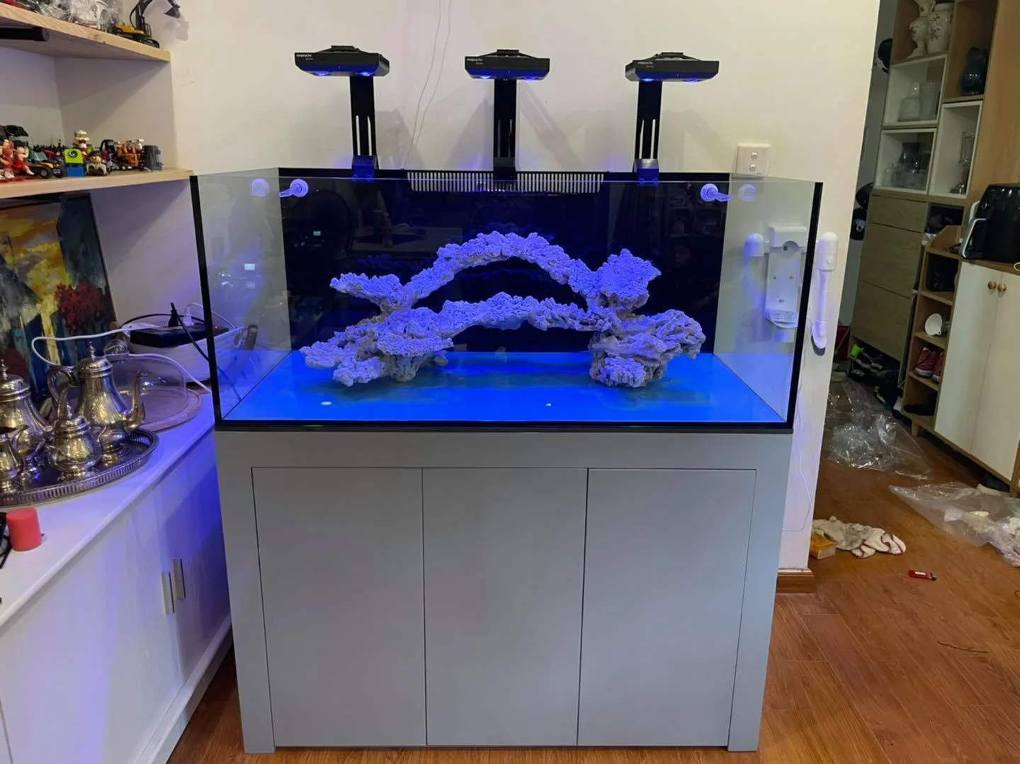 Setup bể cá biển 120x60x50 cho khách hàng Time City - hình 4