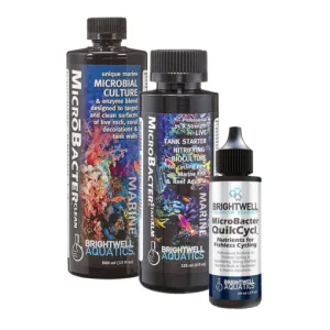 Bộ Cycle nhanh Brightwell: Bacter Dry Rock Bacteria Starter Kit