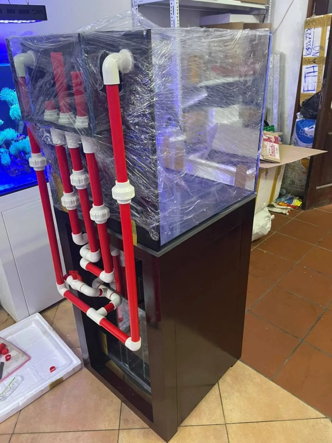 160874023_3654090504701512_6588330444222628364_n Trả bể Cubic 50 cá biển cho khách hàng ở Phương Mai - Hà Nội - hình 8