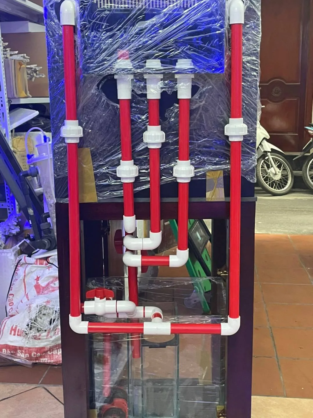 161709266_3654090554701507_4717062915095800532_n Trả bể Cubic 50 cá biển cho khách hàng ở Phương Mai - Hà Nội