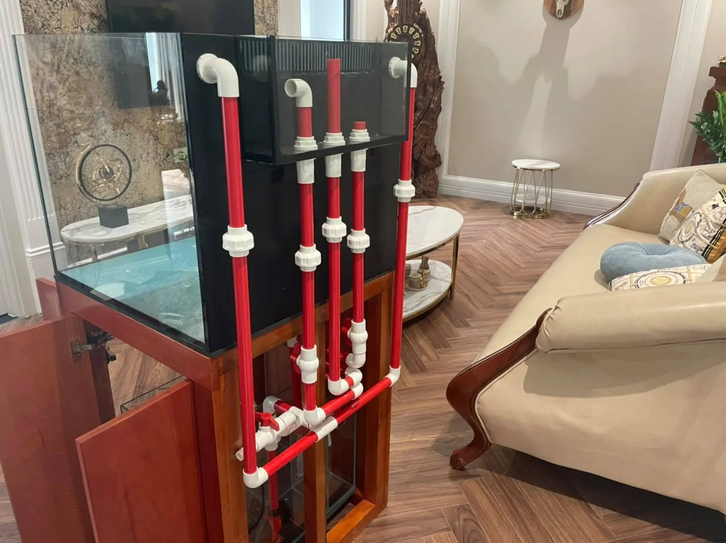179938355_3779699415473953_6590085180378765543_n Full set bộ bể cá biển 60X60X50 về với khách hàng King Place - Nguyễn Trãi