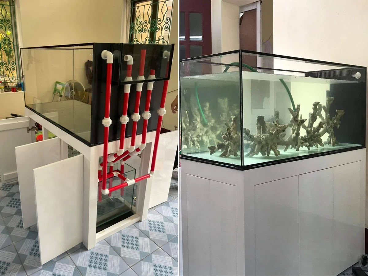 Thiết kế bể cá biển 120X60X60 cho khách hàng ở Phủ Lý