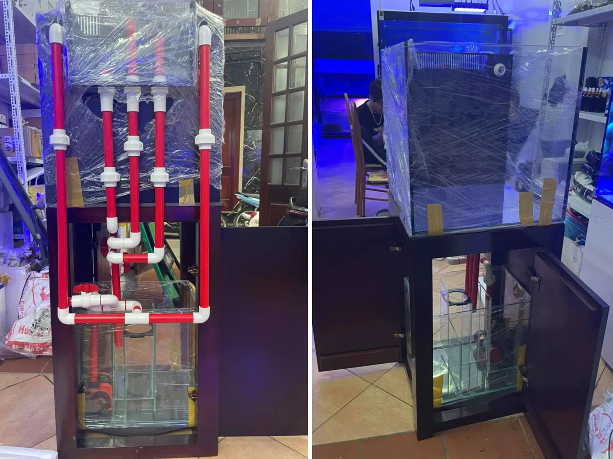 be-ca-bien-50 Trả bể Cubic 50 cá biển cho khách hàng ở Phương Mai - Hà Nội
