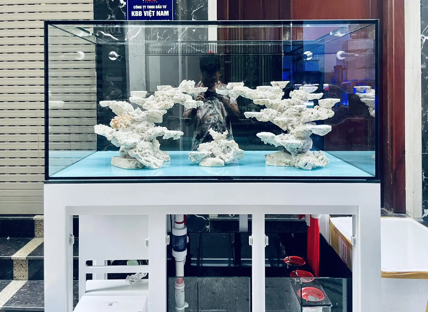 Full bộ bể cá biển120cm về với TP.Yên Bái - hình 3