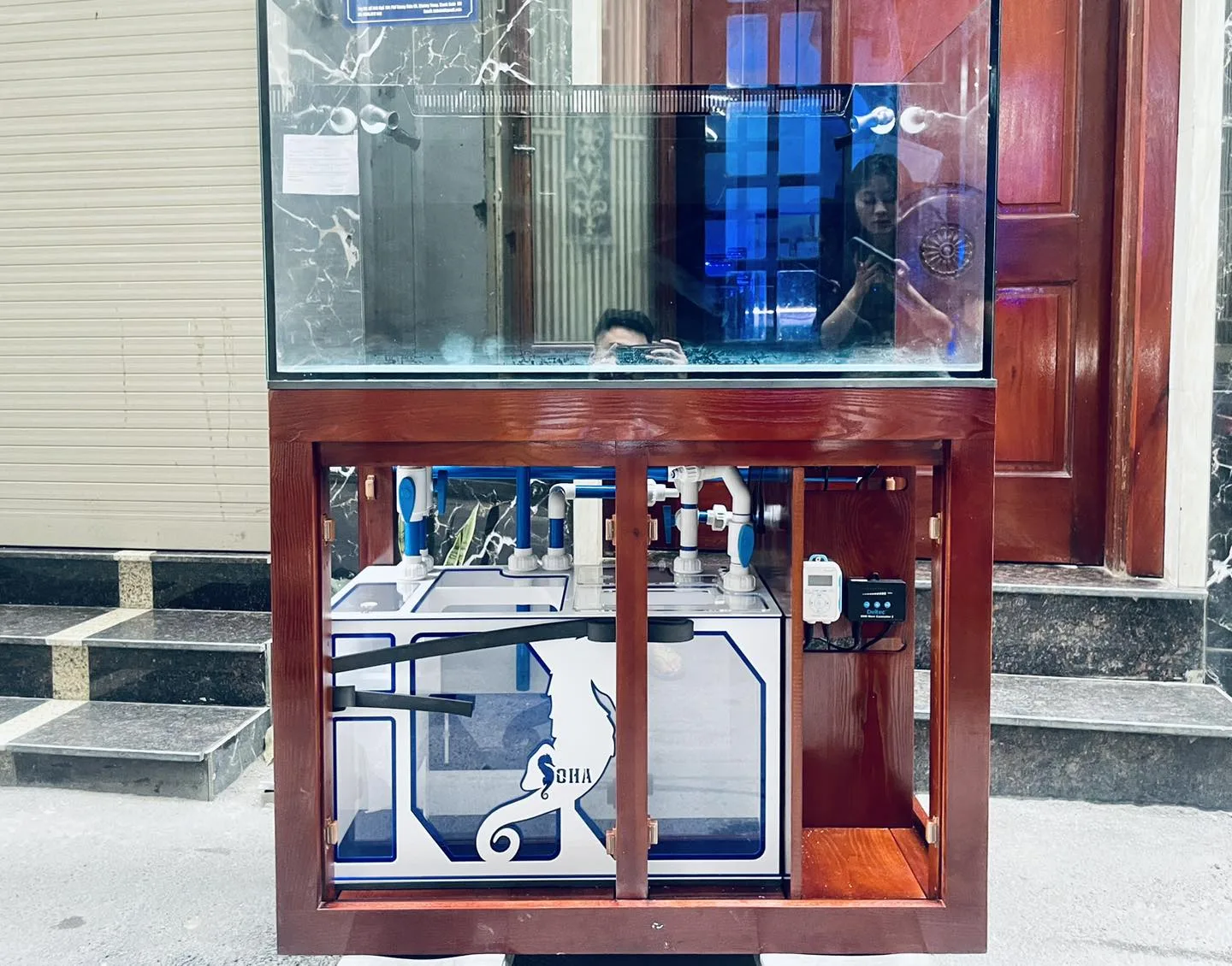 362287803_733885808747662_5075768344209032114_n Full bộ cá biển 100cm - sump acrylic