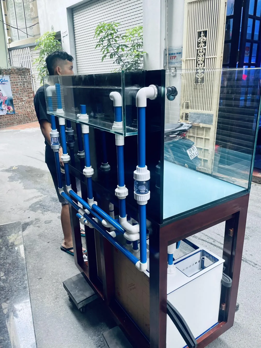 363340256_733885798747663_354462595610495430_n Full bộ cá biển 100cm - sump acrylic