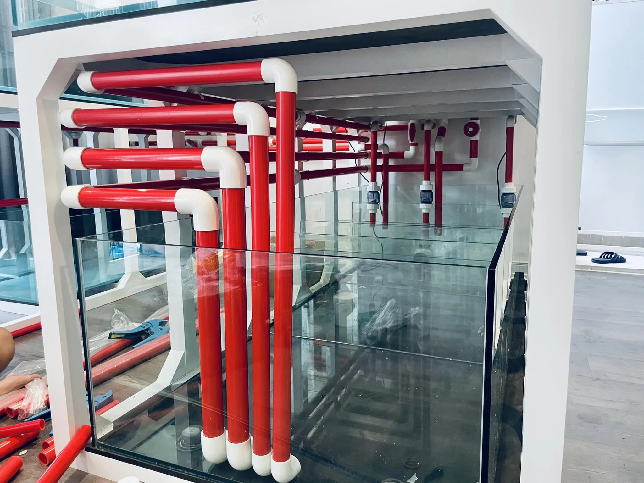 Setup Farm san hô 3500 lít cho anh trai đam mê