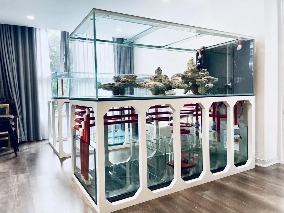 Setup Farm san hô 3500 lít cho anh trai đam mê