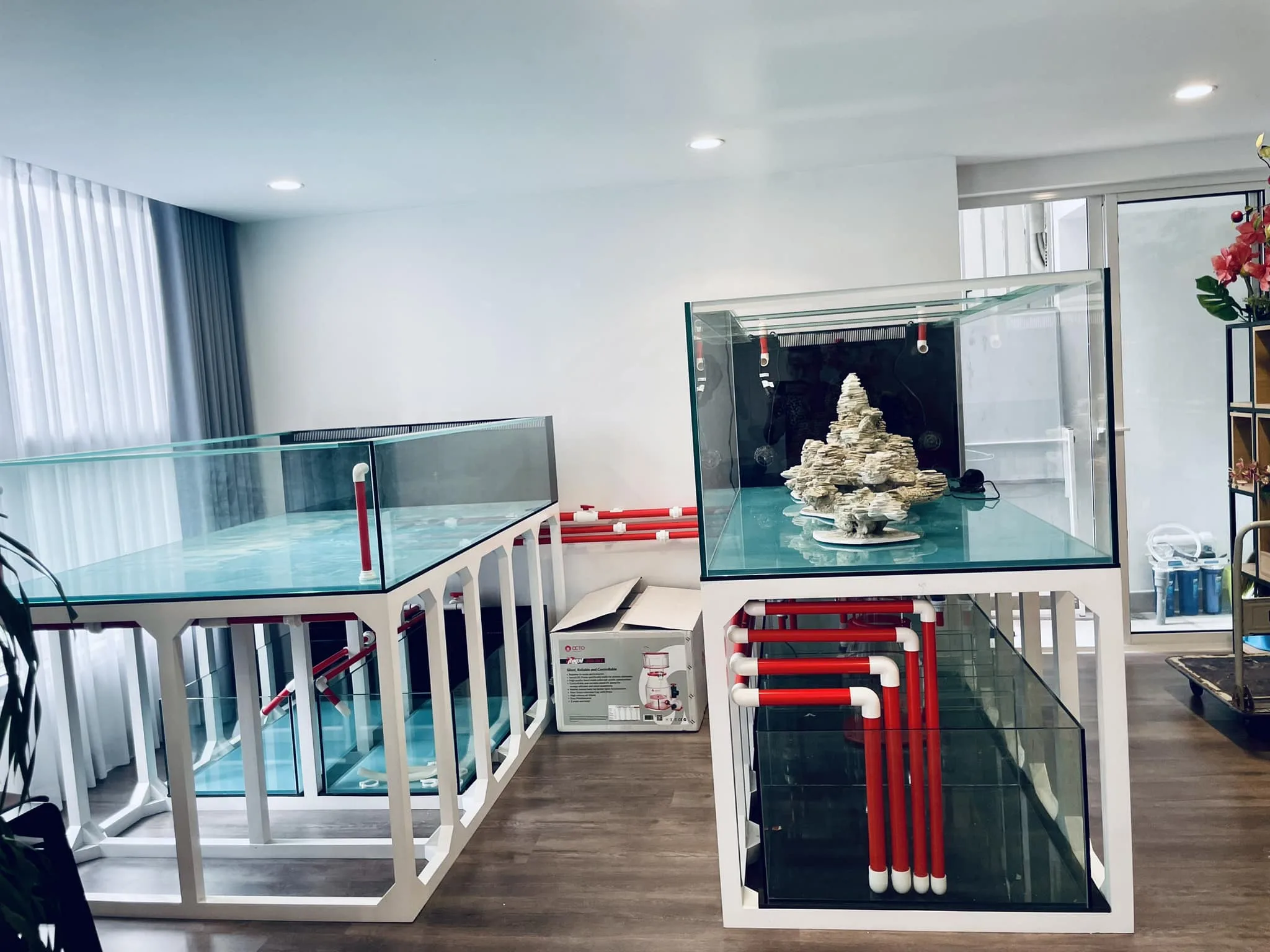 Setup Farm san hô 3500 lít cho anh trai đam mê - hình 3