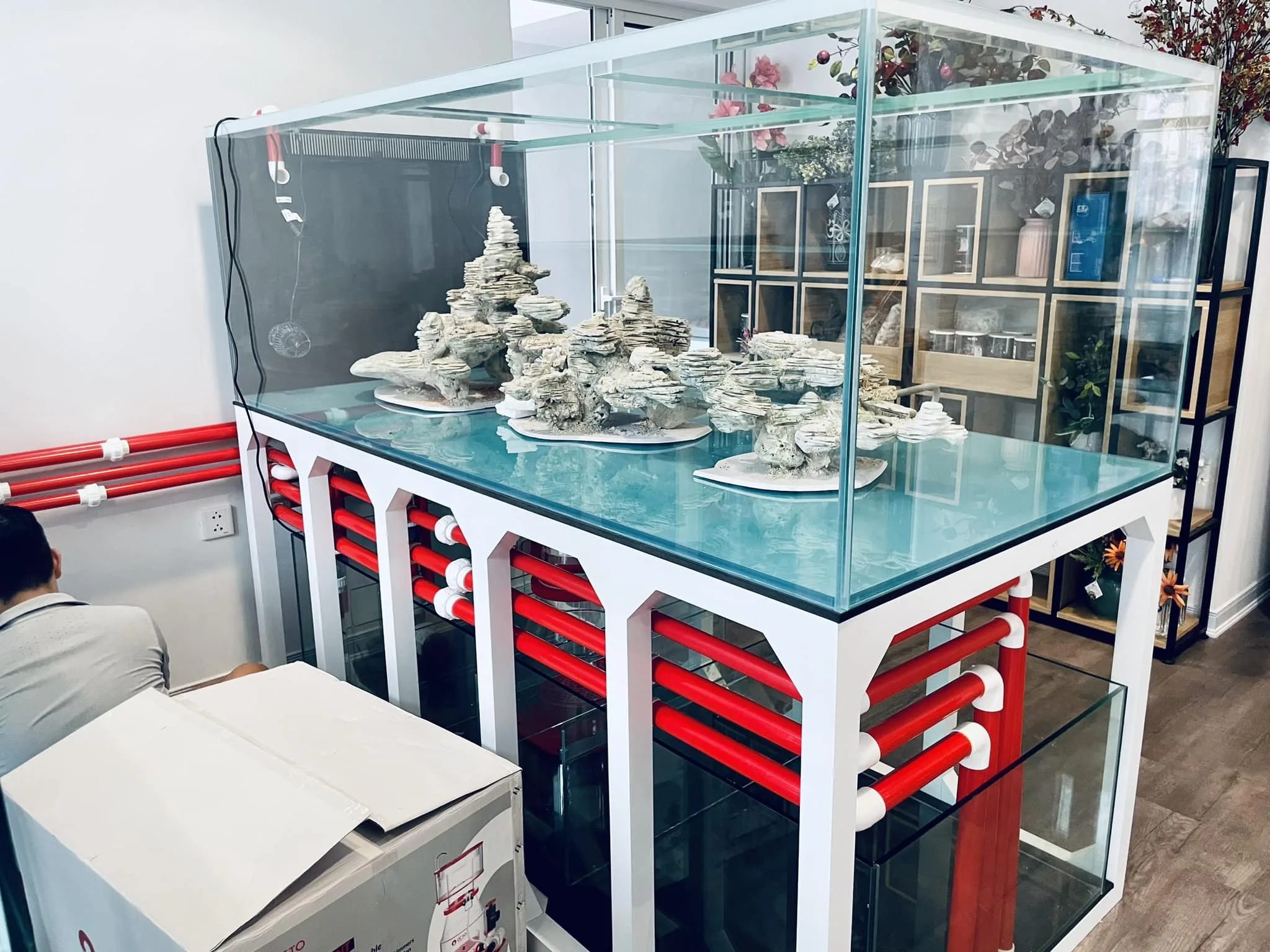 Setup Farm san hô 3500 lít cho anh trai đam mê - hình 2