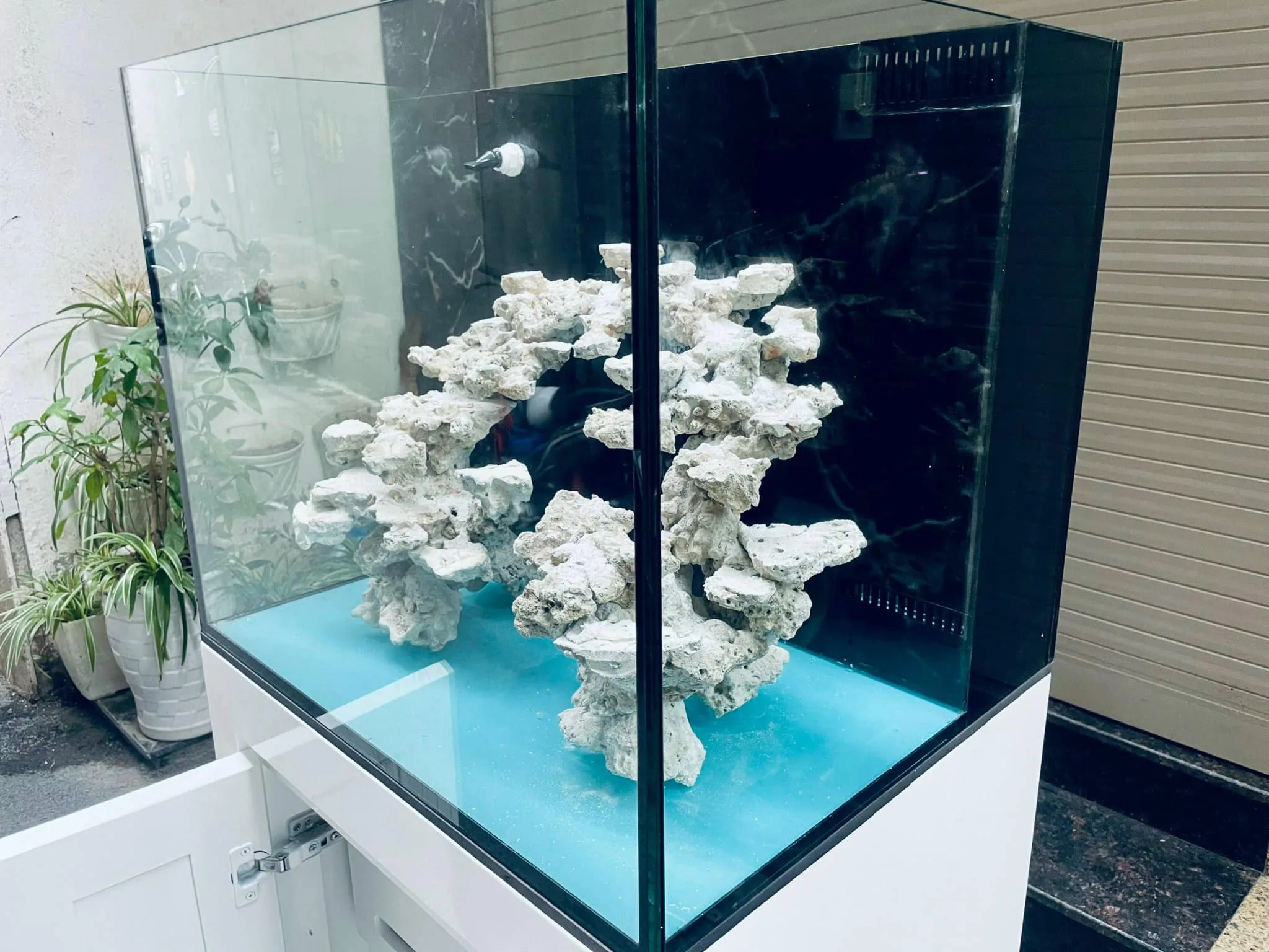Bể lọc vách cá biển 60x50X50 - hình 2