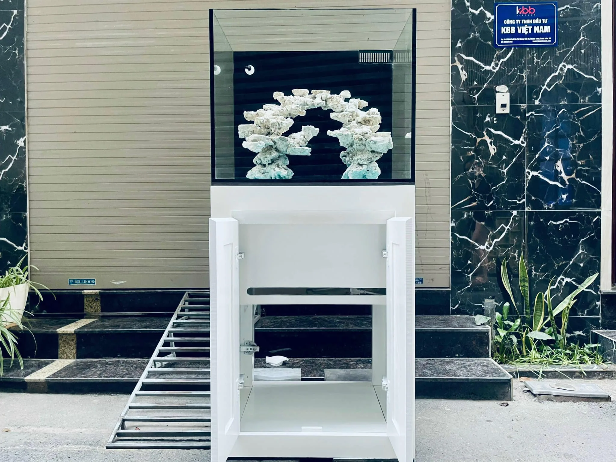 Bể lọc vách cá biển 60x50X50