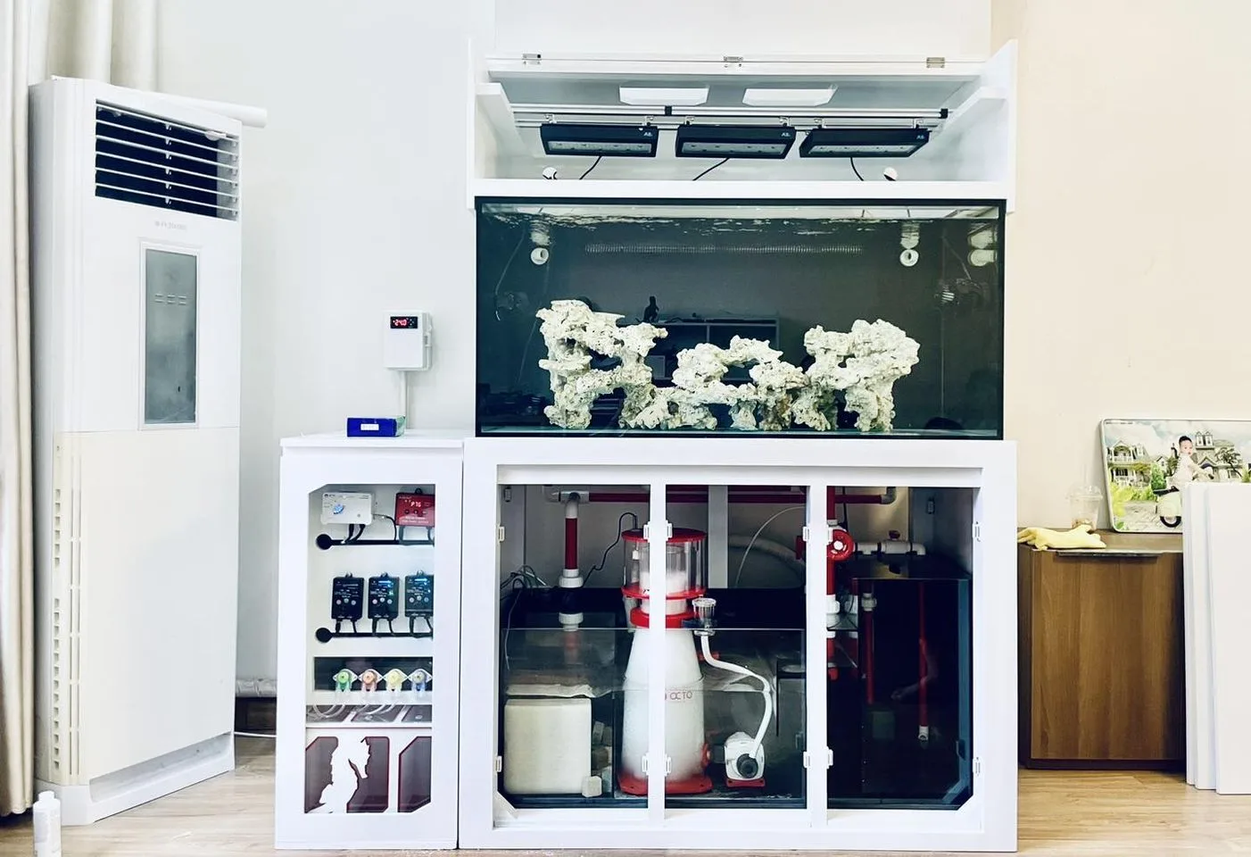 Bể 120x60x60 chơi san hô và cá về với khách hàng Hà Nam