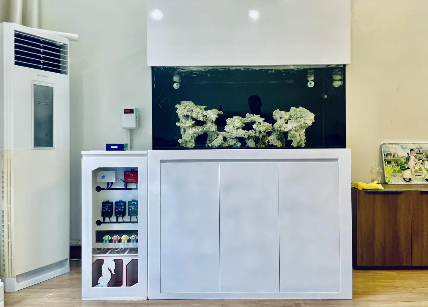 Bể 120x60x60 chơi san hô và cá về với khách hàng Hà Nam - hình 4