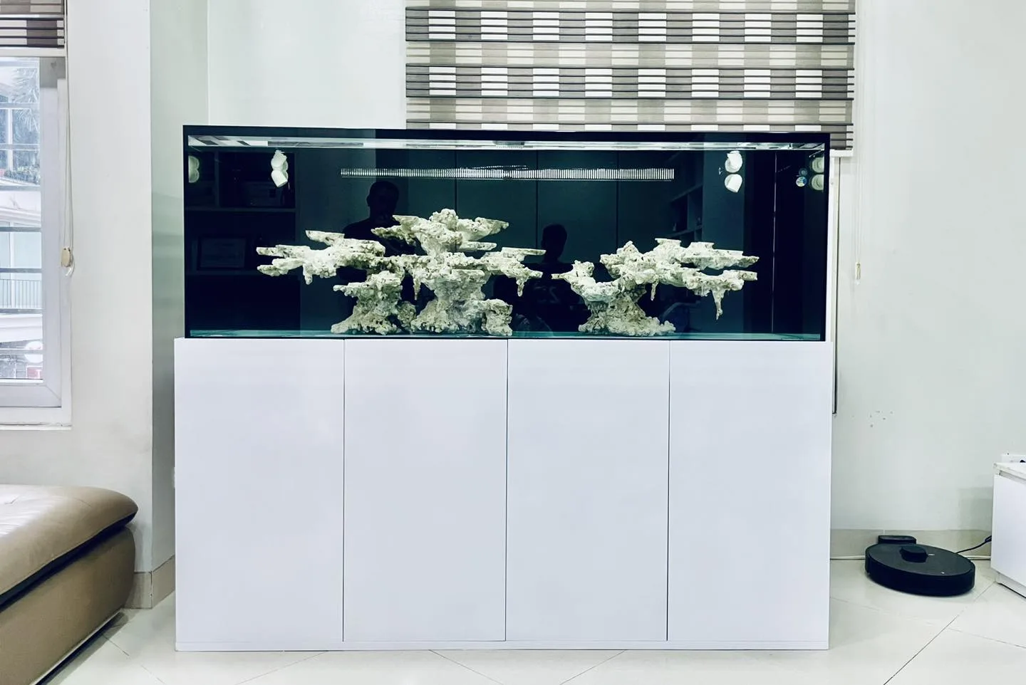 Full bộ 180x60x60 chơi san hô cá biển cho khách hàng tại Ba Đình - Hà Nội - hình 3