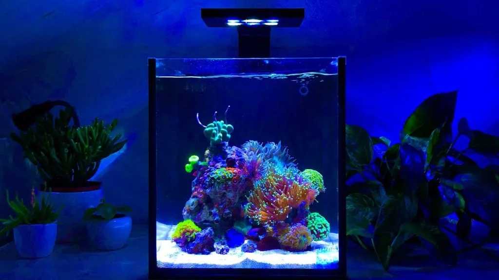 nano tank