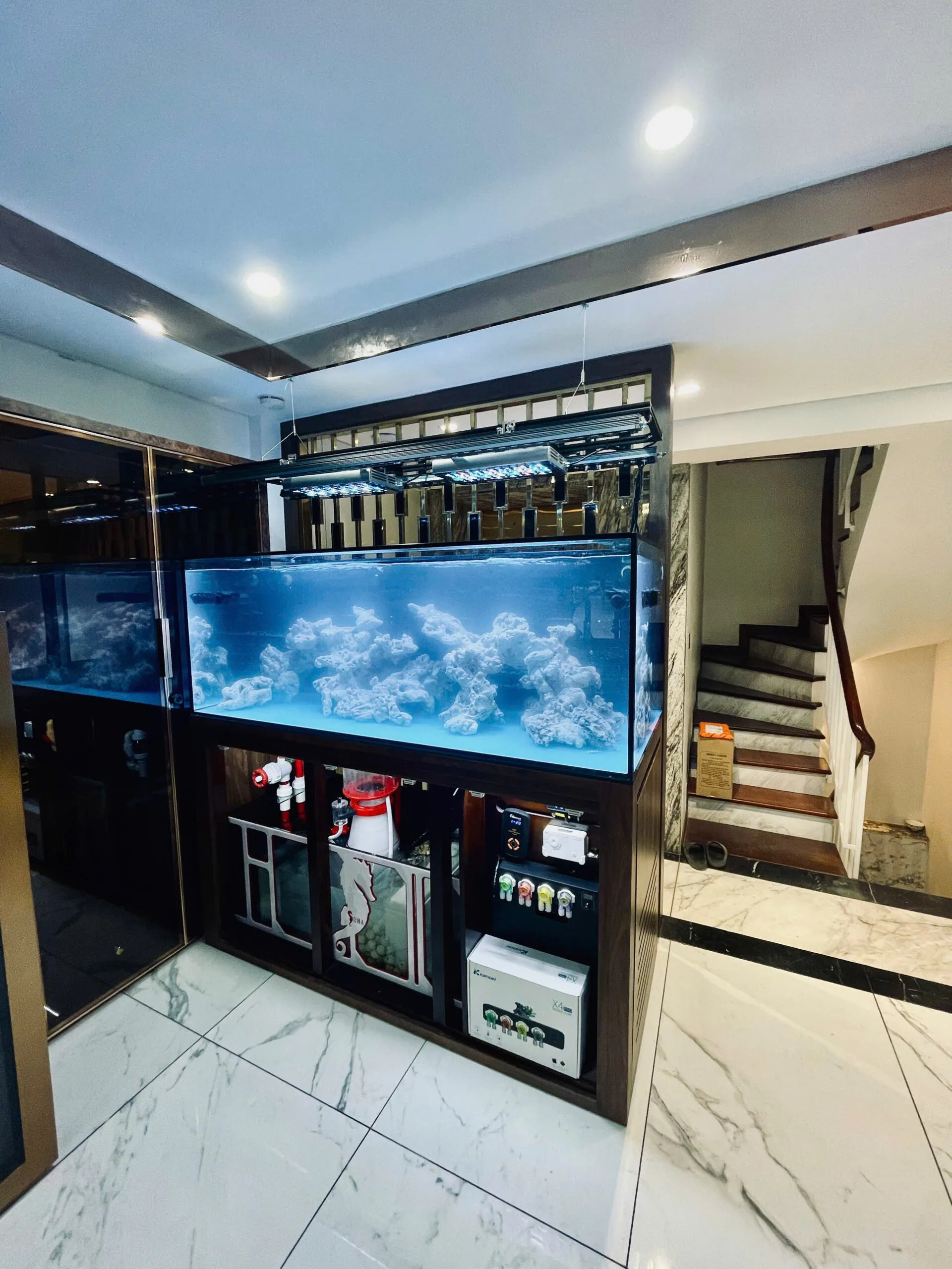 Full bộ bể san hô cá biển 150x65x55 (Hồ Trúc Bạch)