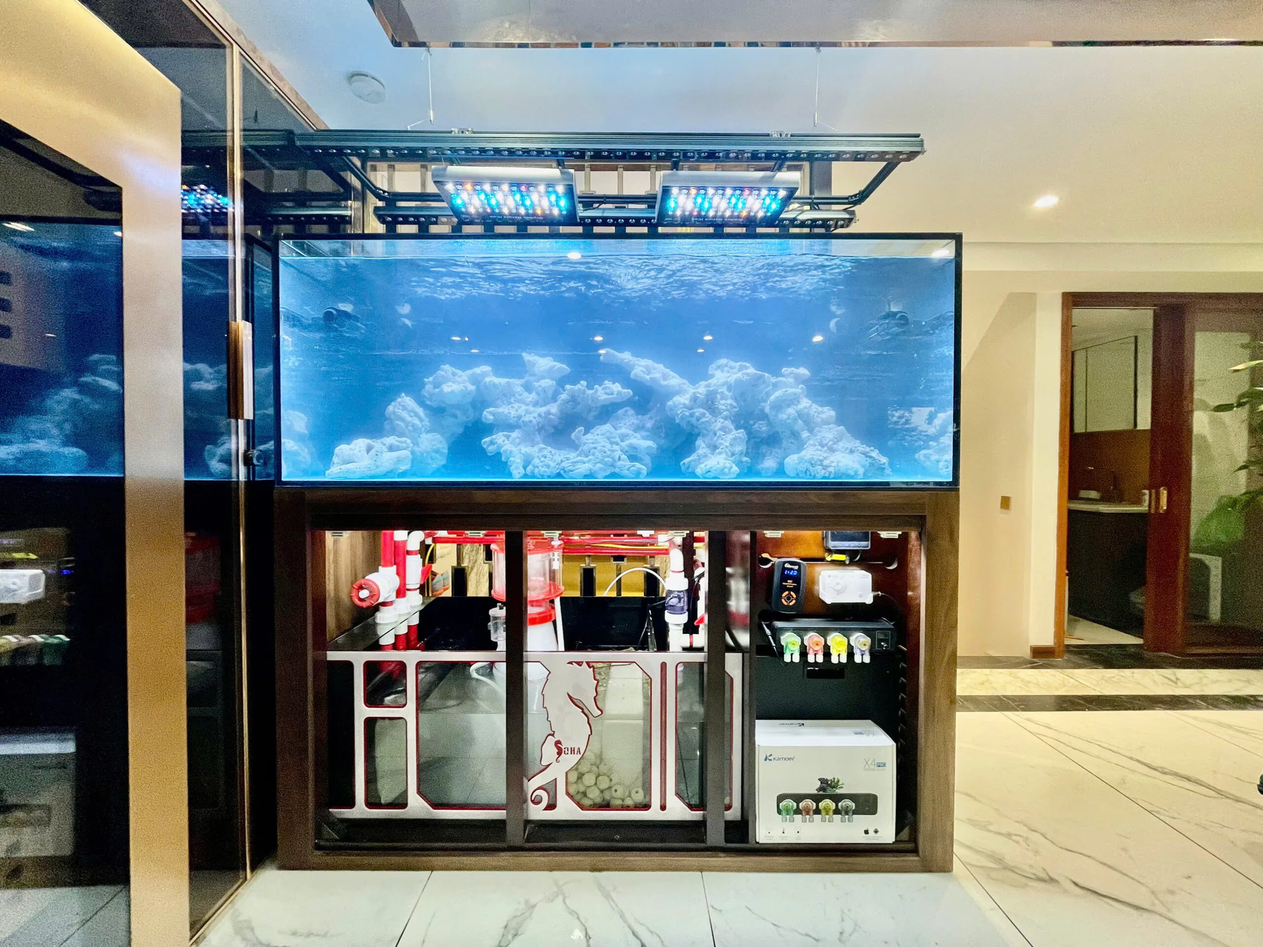 Full bộ bể san hô cá biển 150x65x55 (Hồ Trúc Bạch)