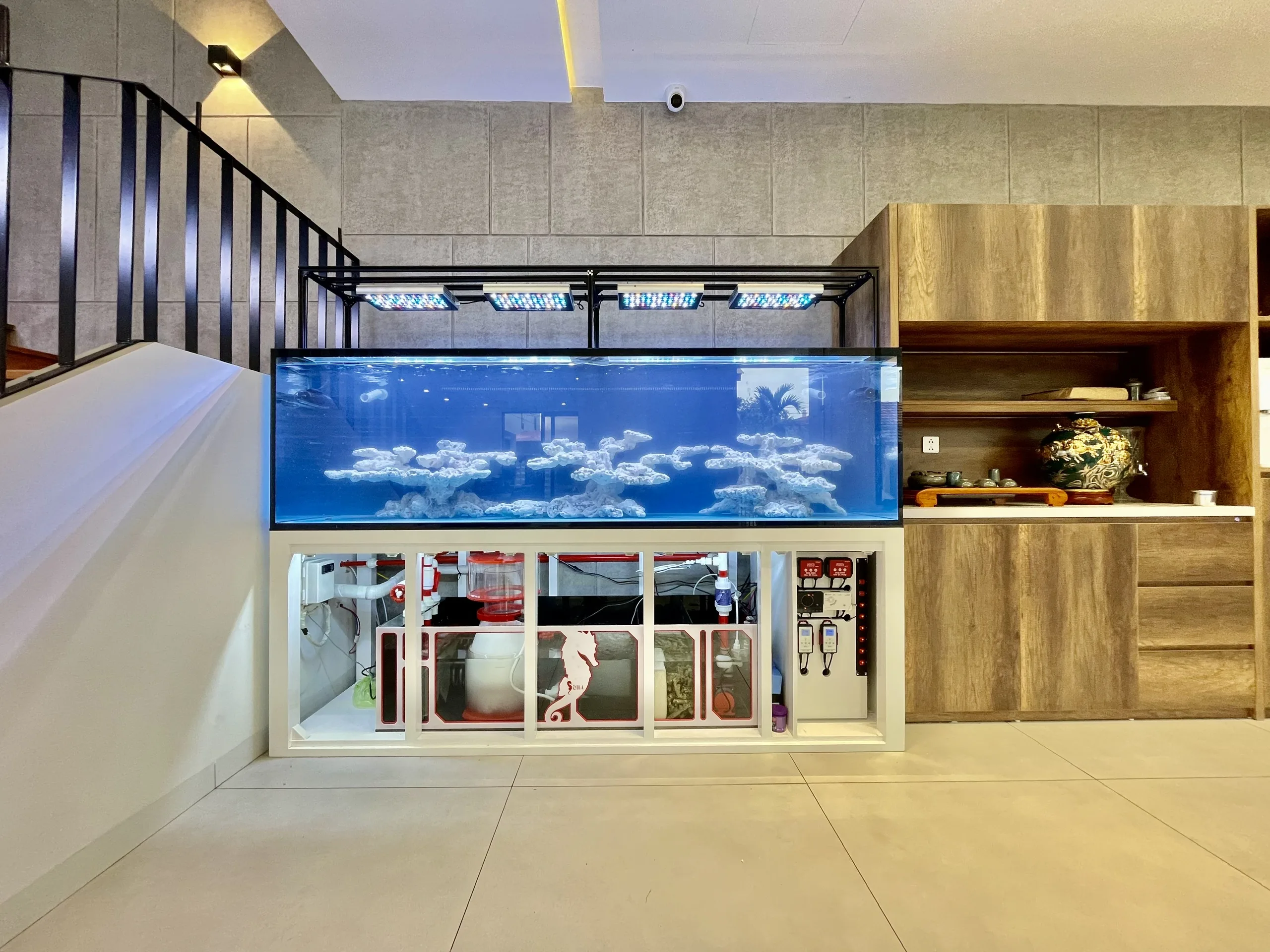 Bể cá biển 240x68x68 Đan Phượng - hình 2