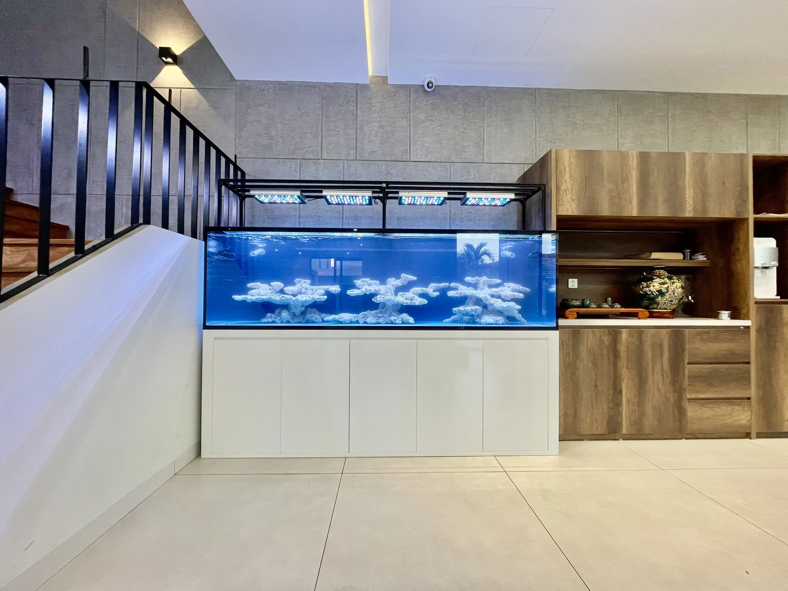 Bể cá biển 240x68x68 Đan Phượng