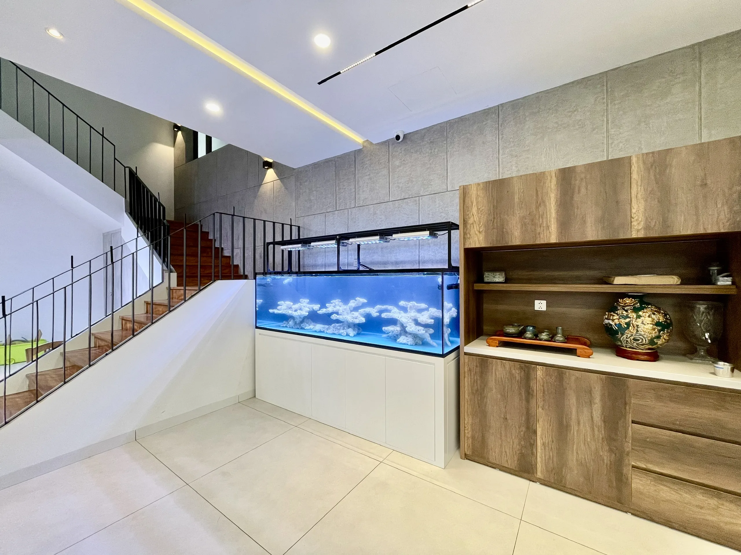 Bể cá biển 240x68x68 Đan Phượng