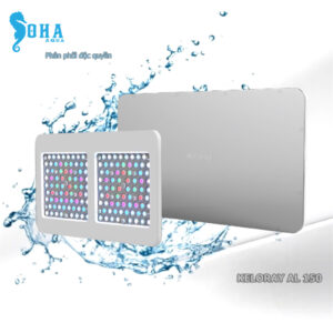 Đèn LED Keloray AL150 siêu mỏng nhẹ, par cao, không tiếng ồn