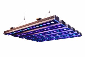 Ledbar Orphek Or4 Icon mới: 60cm, 90cm, 120cm, 150cm