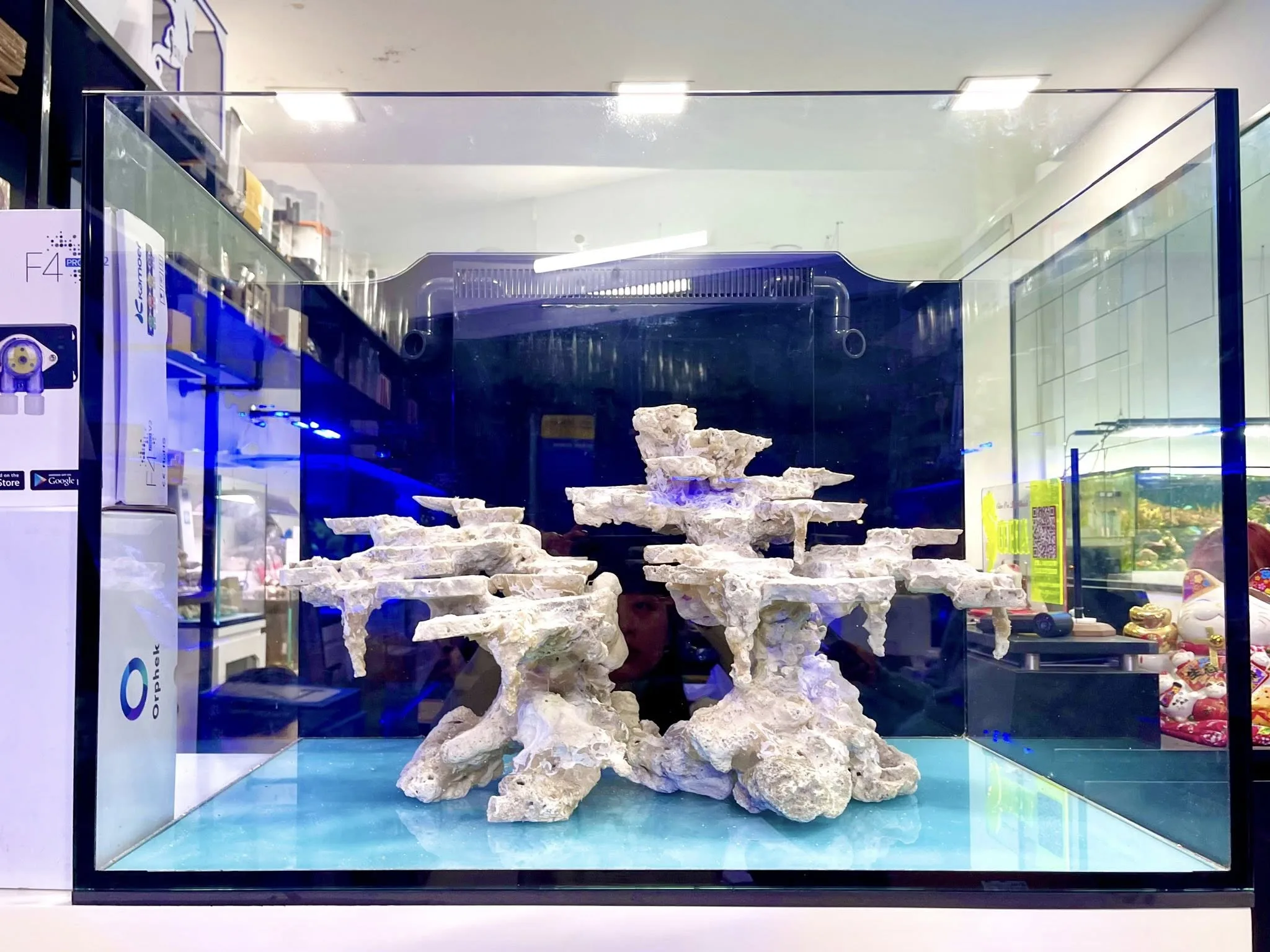 487998887_692012129850518_7707485968220124824_n Bể cá biển 80x55x55 chân tủ 120cm chứa cả chiller