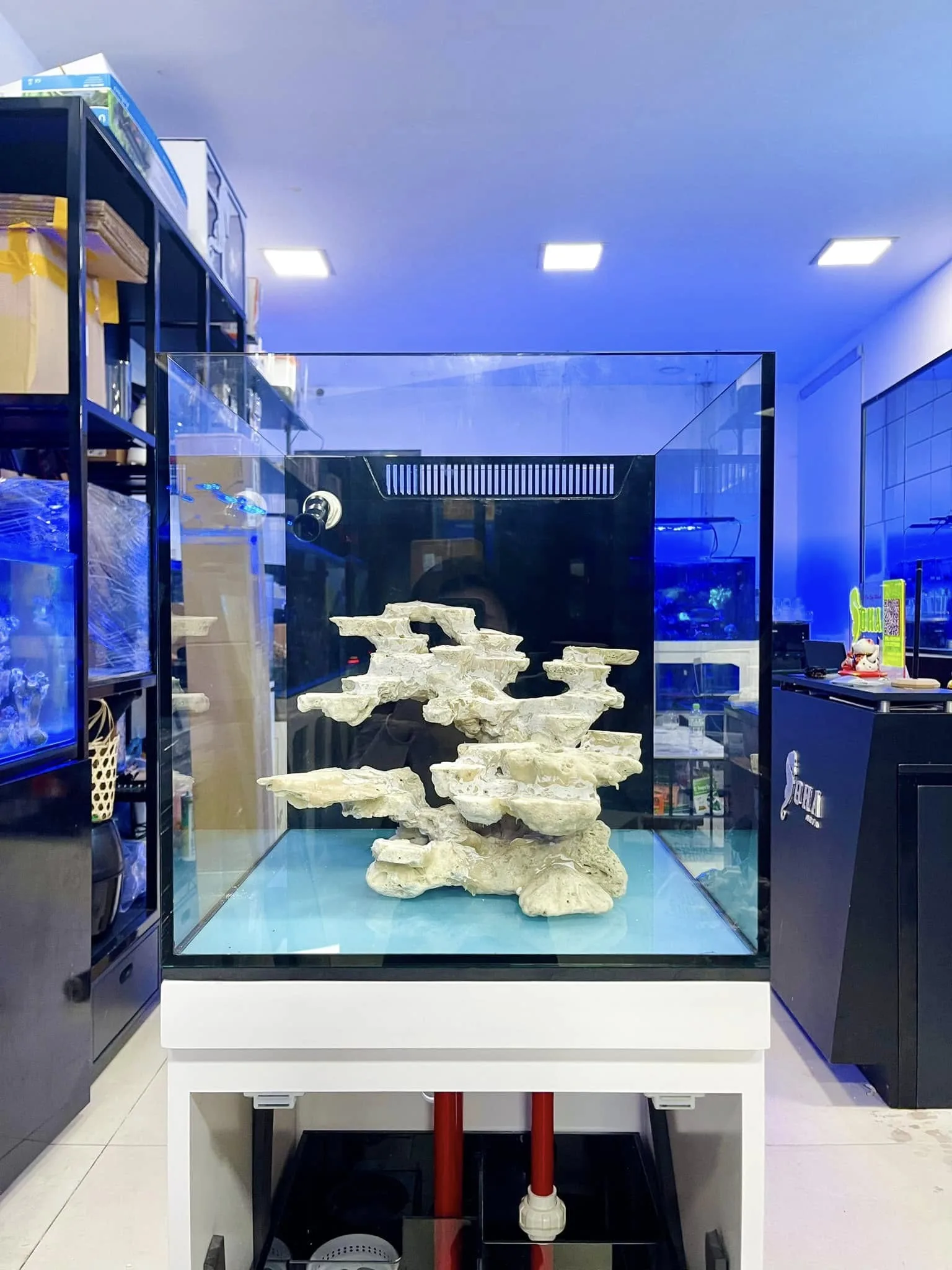 Bộ bể cá biển Cubic 45 lọc dưới Soha Aqua - hình 2