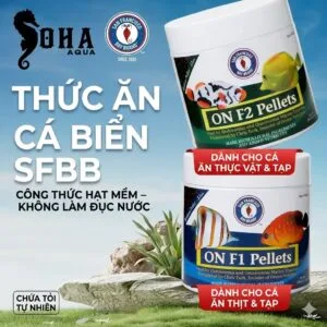 Thức ăn cá biển SFBB ON F1 & F2 Pellets – công thức hạt mềm
