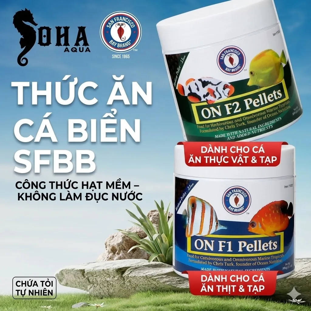 Thức ăn cá biển SFBB ON F1 & F2 Pellets – công thức hạt mềm